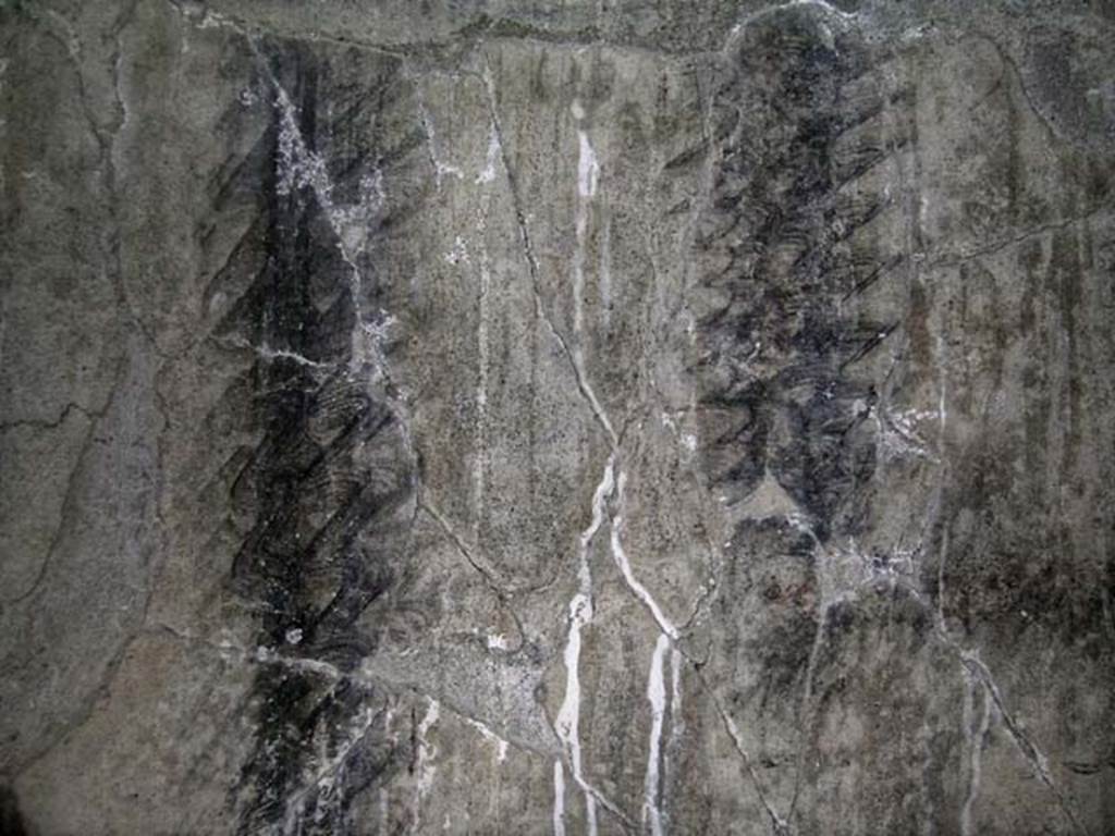 V.17/18, Herculaneum. May 2004. Detail of meander pattern from east wall of shop-room/staircase.   Photo courtesy of Nicolas Monteix.